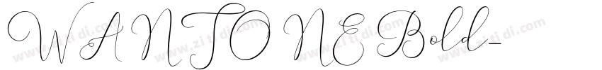 WANTONE Bold字体转换